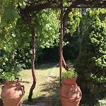 Giuseppe Giovannetti 50 Lucca