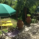 Giuseppe Giovannetti 50 *