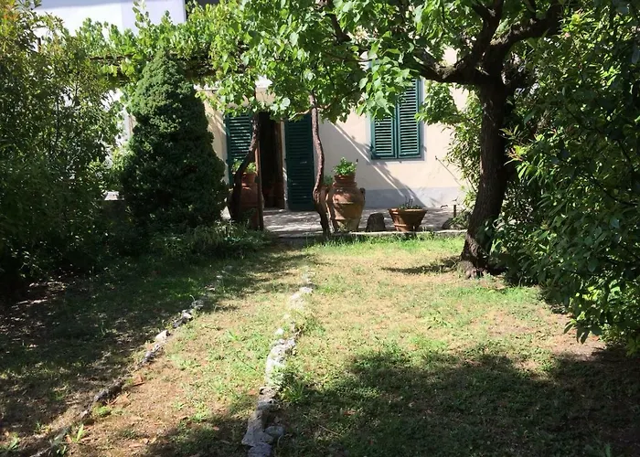 Giuseppe Giovannetti 50 * Lucques